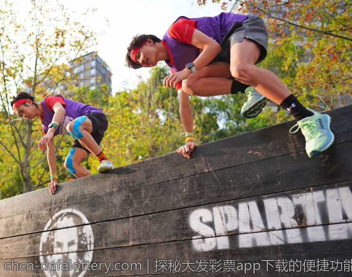 探秘大发彩票app下载的便捷功能